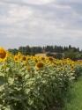 0_5907905_532942.jpg