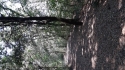 0_5909844_532942.jpg