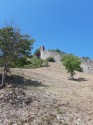 0_5910438_532942.jpg