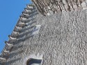 0_5910460_532942.jpg