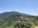 0_5910473_532942.jpg