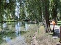 0_5911484_532942.jpg