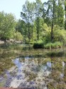 0_5911504_532942.jpg