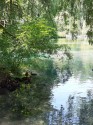 0_5911508_532942.jpg