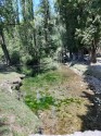 0_5911510_532942.jpg