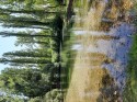 0_5911518_532942.jpg