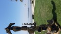 0_5912298_532942.jpg