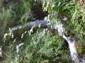 0_5912316_532942.jpg