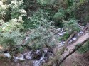 0_5912319_532942.jpg