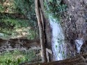 0_5912373_532942.jpg