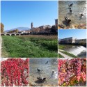 slideshow