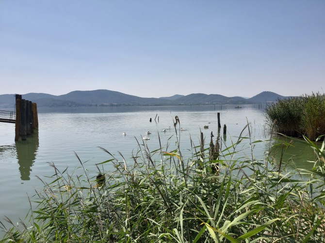  - quovadisumbria